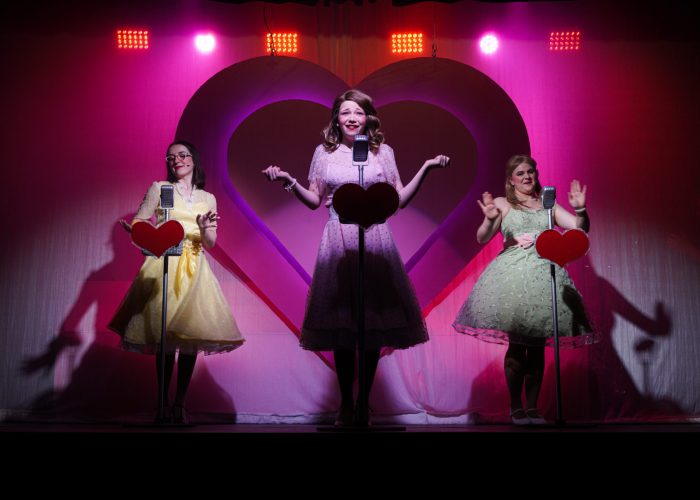 DMS – The Marvelous Wonderettes DMS - The Marvelous Wonderettes